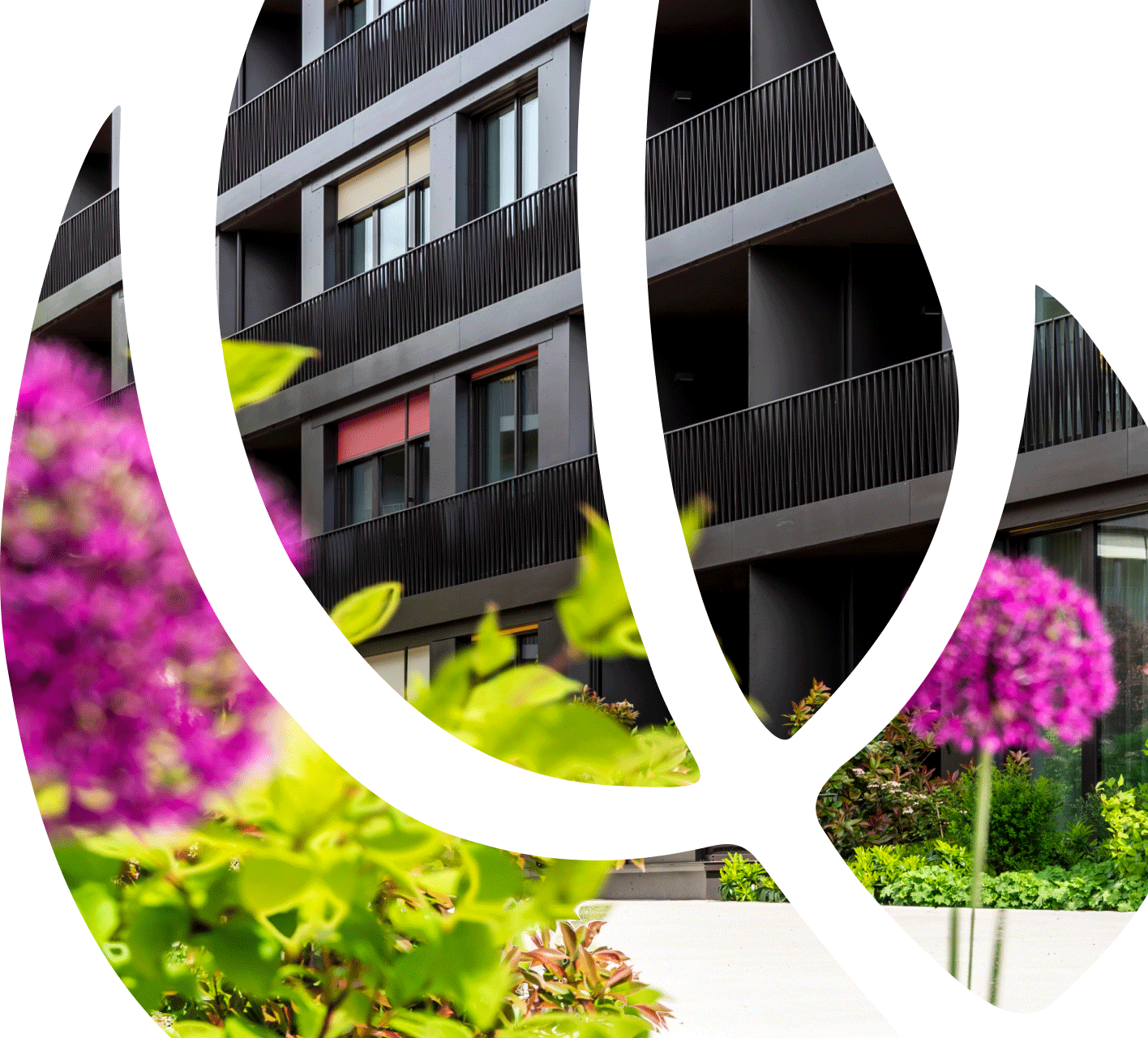 FAQ & Antworten