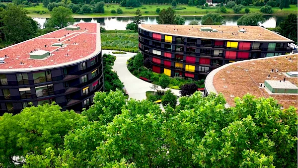 Entdecken Sie Marina Garden Dresden in voller Sommerblüte