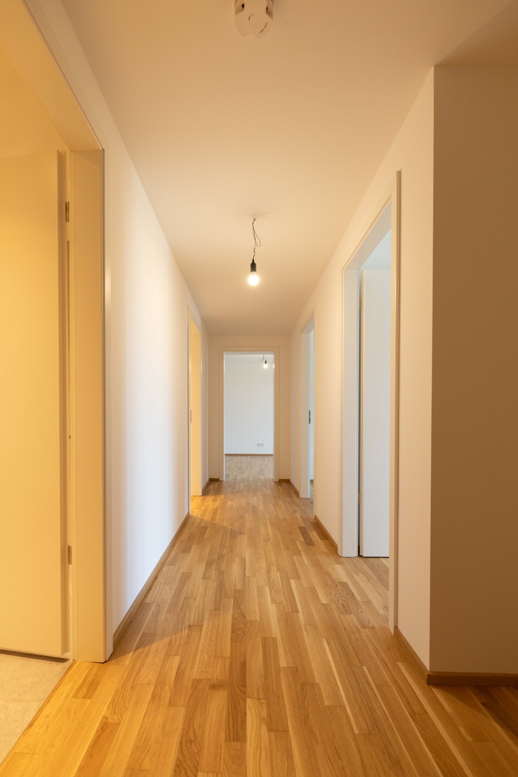 Marina Garden Dresden Wohnungen