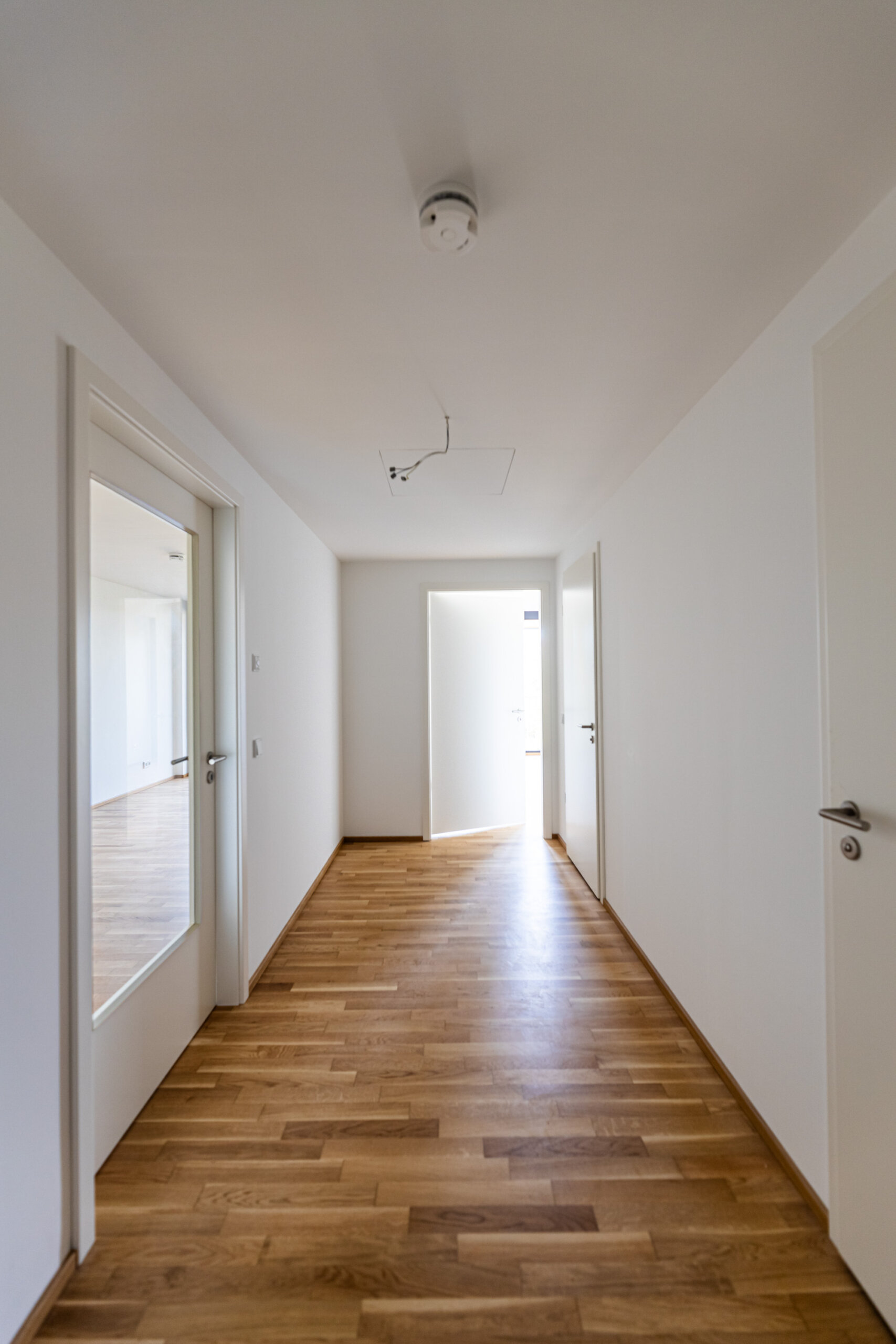 Marina Garden Dresden Wohnungen